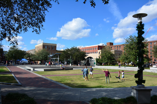 Ellis Square - Visual