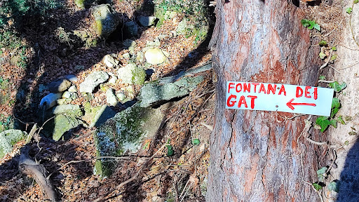 Scalinata dei Cleromanti - 455 mt.slm - - Thumbnail