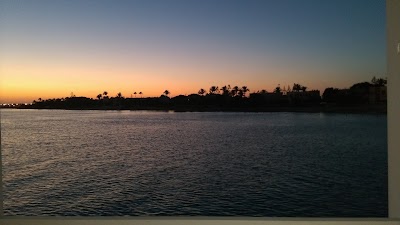 Photos of Sea Gull