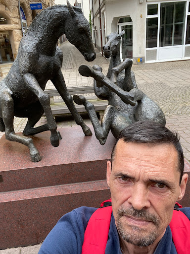 Zeitzer Bronzeziege - Visual