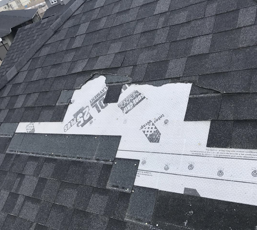 Unique Roofing Ltd. - Visual