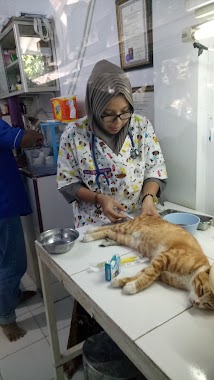 Kitten Puppy Animal Clinic, Author: Rahmat Afrianto