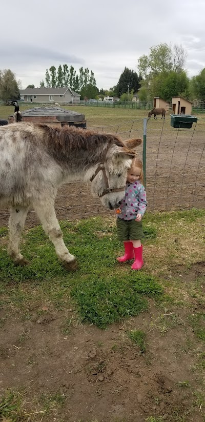 EZ Mini Farm and Petting Zoo