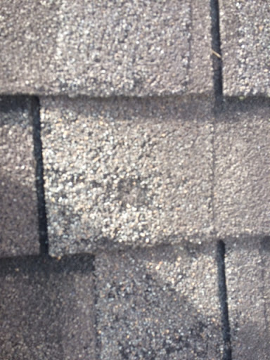 Roof Guyz - Thumbnail