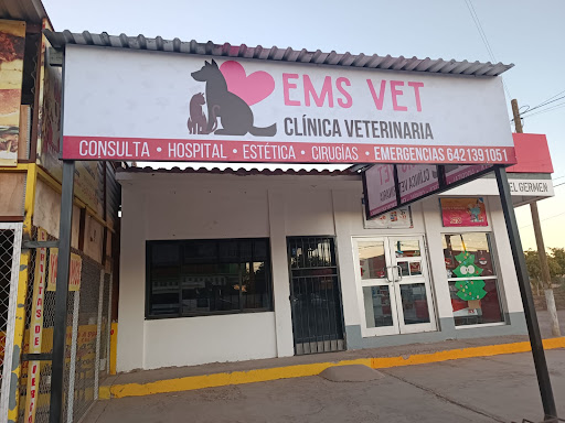EMS VET CLINICA VETERINARIA
