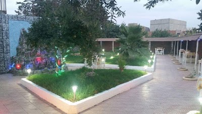 Photos of Restaurant chikh ammar