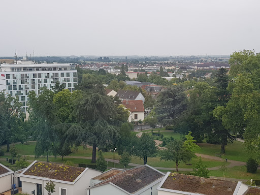 Rosengarten Neustadt an der Weinstraße Gallery - Germany