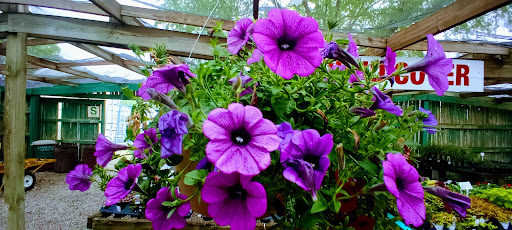 Brady Nursery - Thumbnail