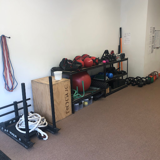 The New Gymnasium