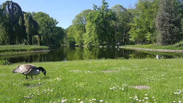 Japanese garden