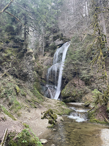 Falltobel - Visual