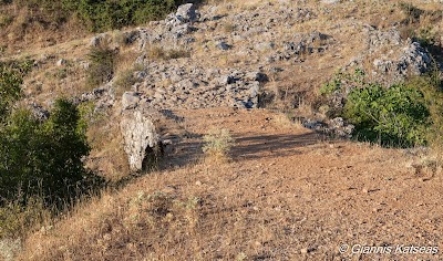 Πετρινο γεφυρι Σεπερης