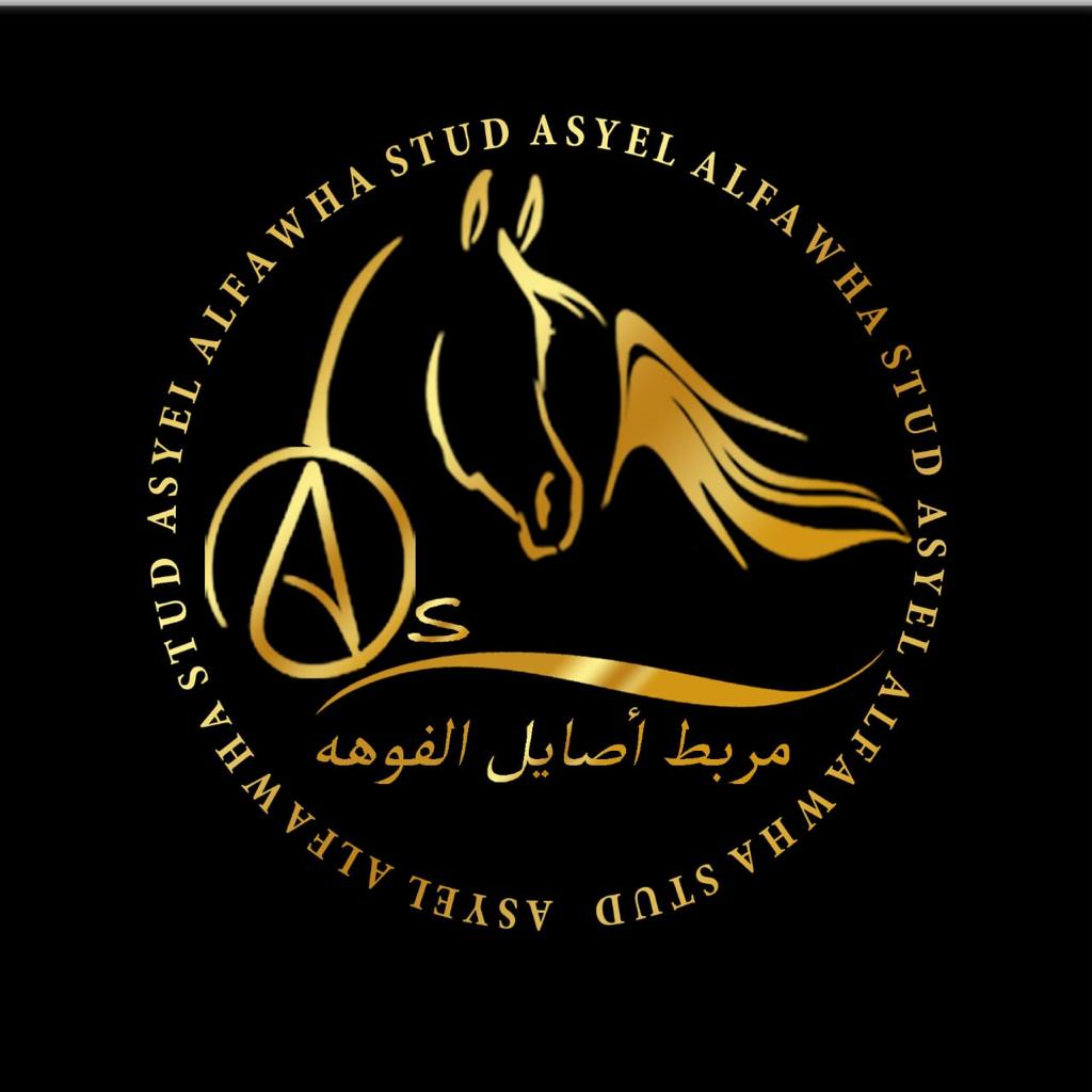 مربط أصايل الفوهة للخيل العربية الأصيلة - صورة 3