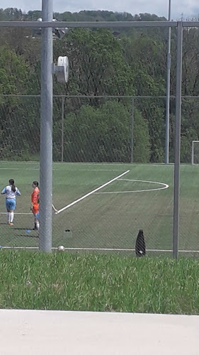 Stade de la Tuilière - Sportstätte
