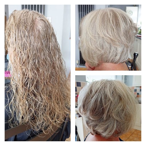 Zoo Hair Design - Thumbnail