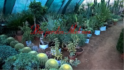 Photos of Ste bio jardin sarl