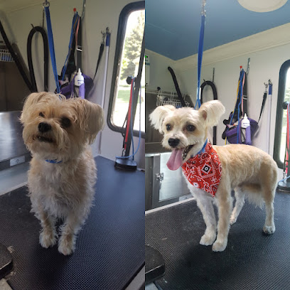 Little mobile grooming shop