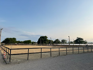 Photo n°2 de Ecurie la Clausade à Lansargues (Pension pour chevaux)