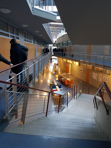 Commercial School Ehingen - Visual