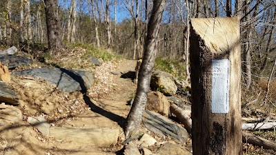 James River Foot Bridge