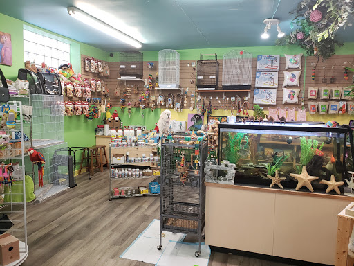 Jungle Services | Parrot Store and Grooming - Thumbnail