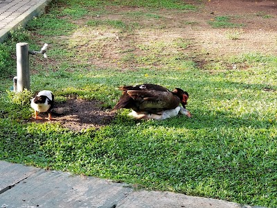 Photos of Rukmani Devi Park