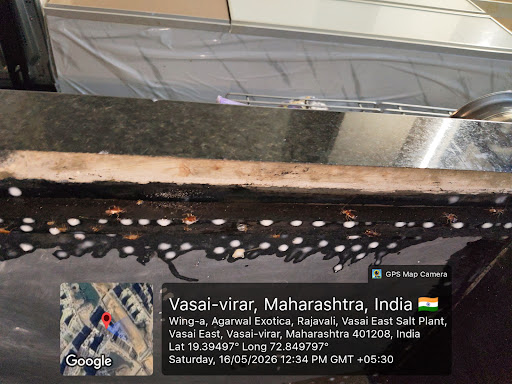 Gallery image 48