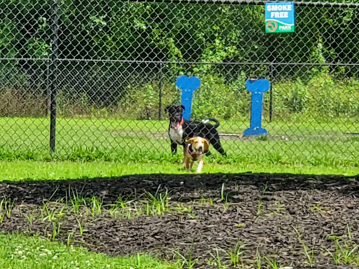Conway Dog Park - Thumbnail