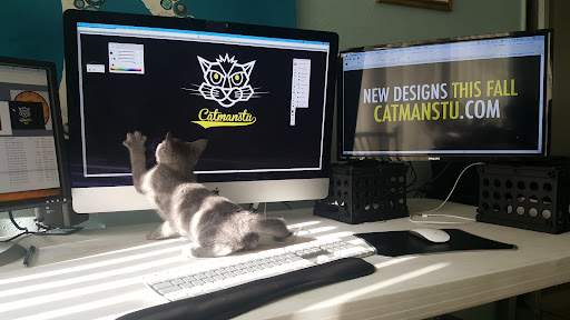 CatManStu - Visual