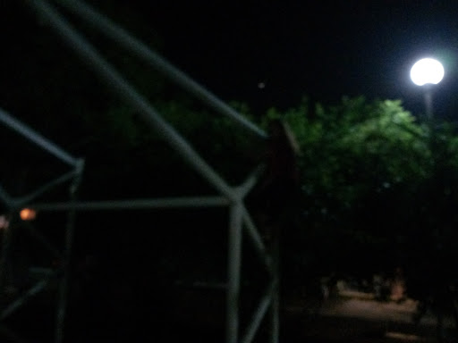Canchas Nueva Pedregal De San Angel Gallery - Mexico