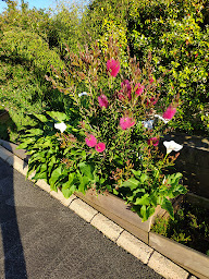 Photo n°2 de HL-PATRIMOINE à Vigneux-de-Bretagne (Agence immobilière)