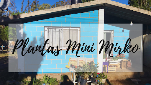 Vivero Mirko - Foto 1