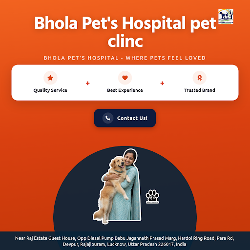 Bhola Pet's Hospital is your trusted pet clinic offering comprehensive veterinary care, grooming,… post image