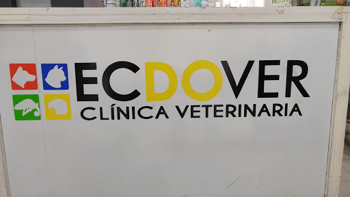 Tienda ECDOVER - Thumbnail