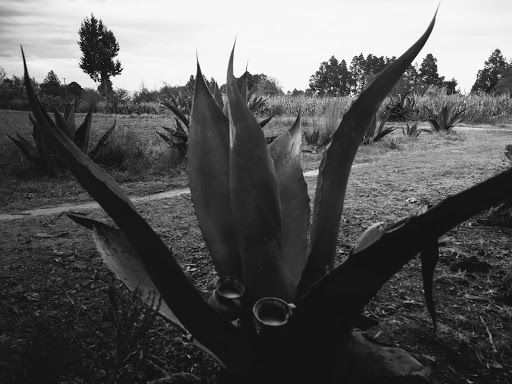 Rancho Gutierrez-Soto - Thumbnail