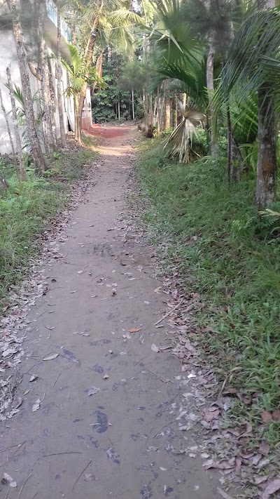 Photos of পপুলার এরিয়া