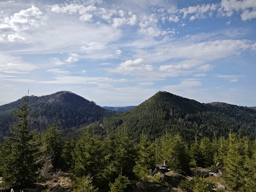 Kohlberg - Visual
