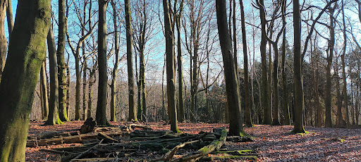 Shere viewpoint - Visual