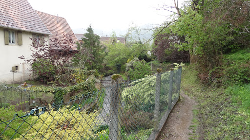 sentier de l'eau - Thumbnail