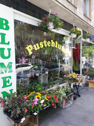 Pusteblume Christina Küpper Logo