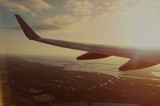 Flytrippers - Visual