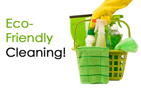 Tree of Life Home Care and Cleaning