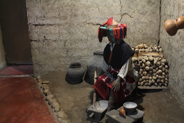 Museo de Medicina Maya