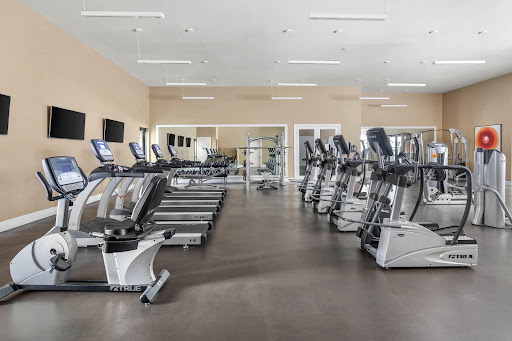 Doral View - Visual