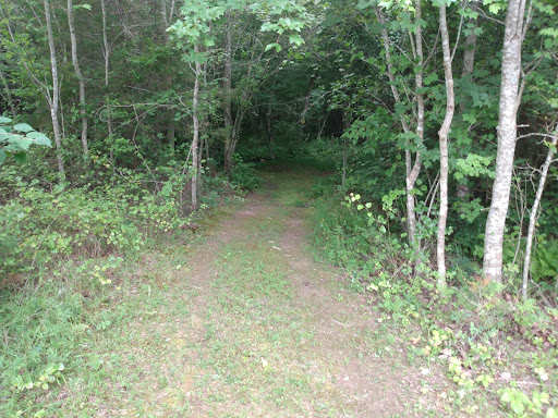 County Wide Park - Thumbnail