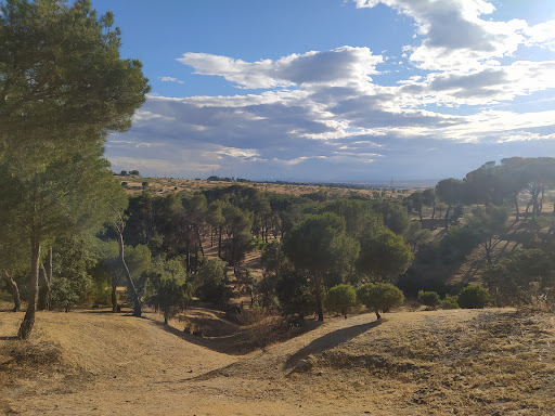 Arcipreste Park - Visual