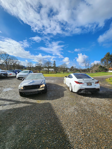 Backyard Autobody - Visual