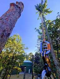 Photo n°8 de ATOUT VERT à Dhuizon (Service d'élagage)