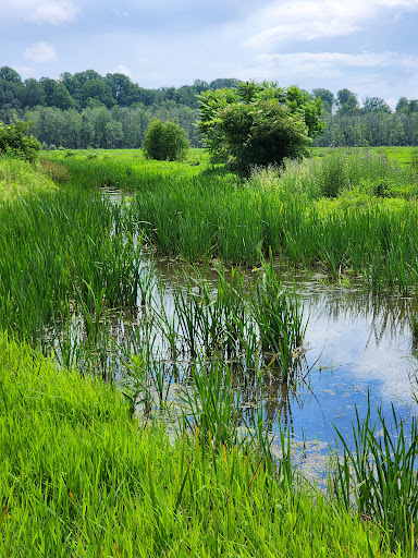 Carol H Sweet Nature Center Gallery - United States