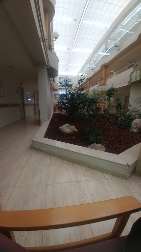 Txara I - Visual
